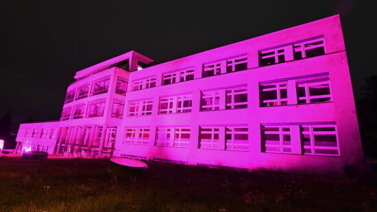 Brno naruzovo 21 (2)